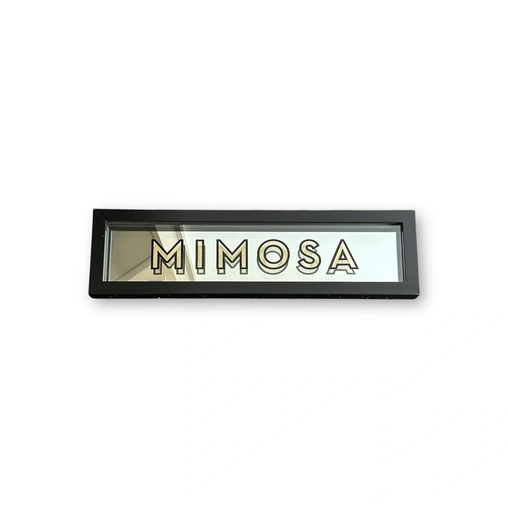 Z Gallerie Mirrored ‘Mimosa’ Framed Wall Art Decorative Home Accent Sign 25x7”